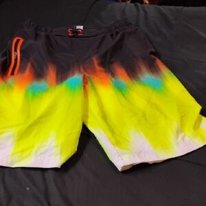 Men's Multicolor Swim Shorts